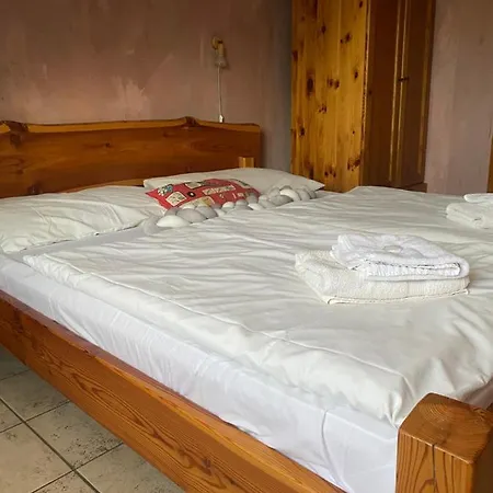 Hostel Crazy